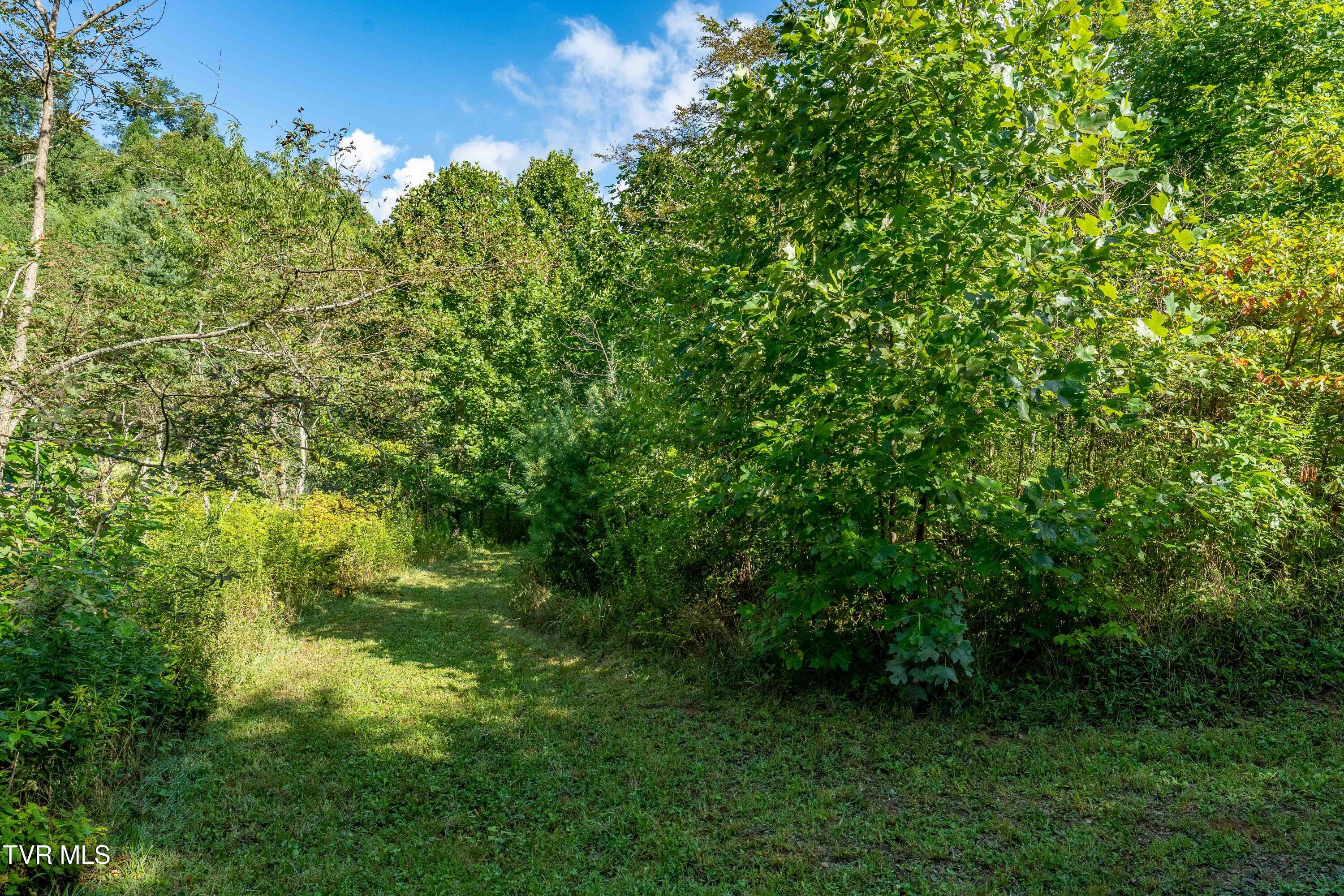306 Bear Branch Road Roan Mountain, TN 37687 - Photo 53 of 53 306 Bear Branch Road (68 of 93)