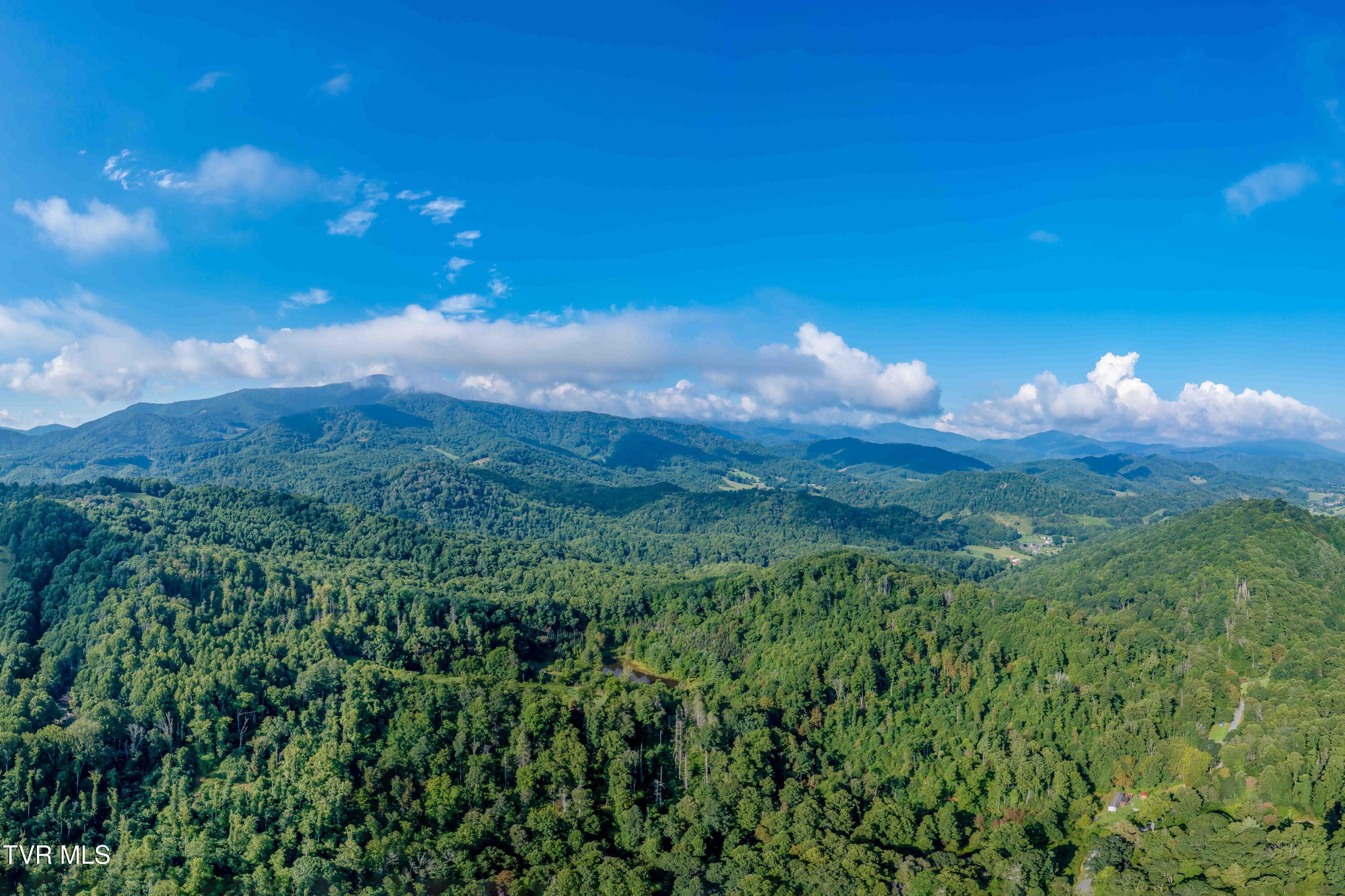 306 Bear Branch Road Roan Mountain, TN 37687 - Photo 7 of 53 306 Bear Branch Road (7 of 93)