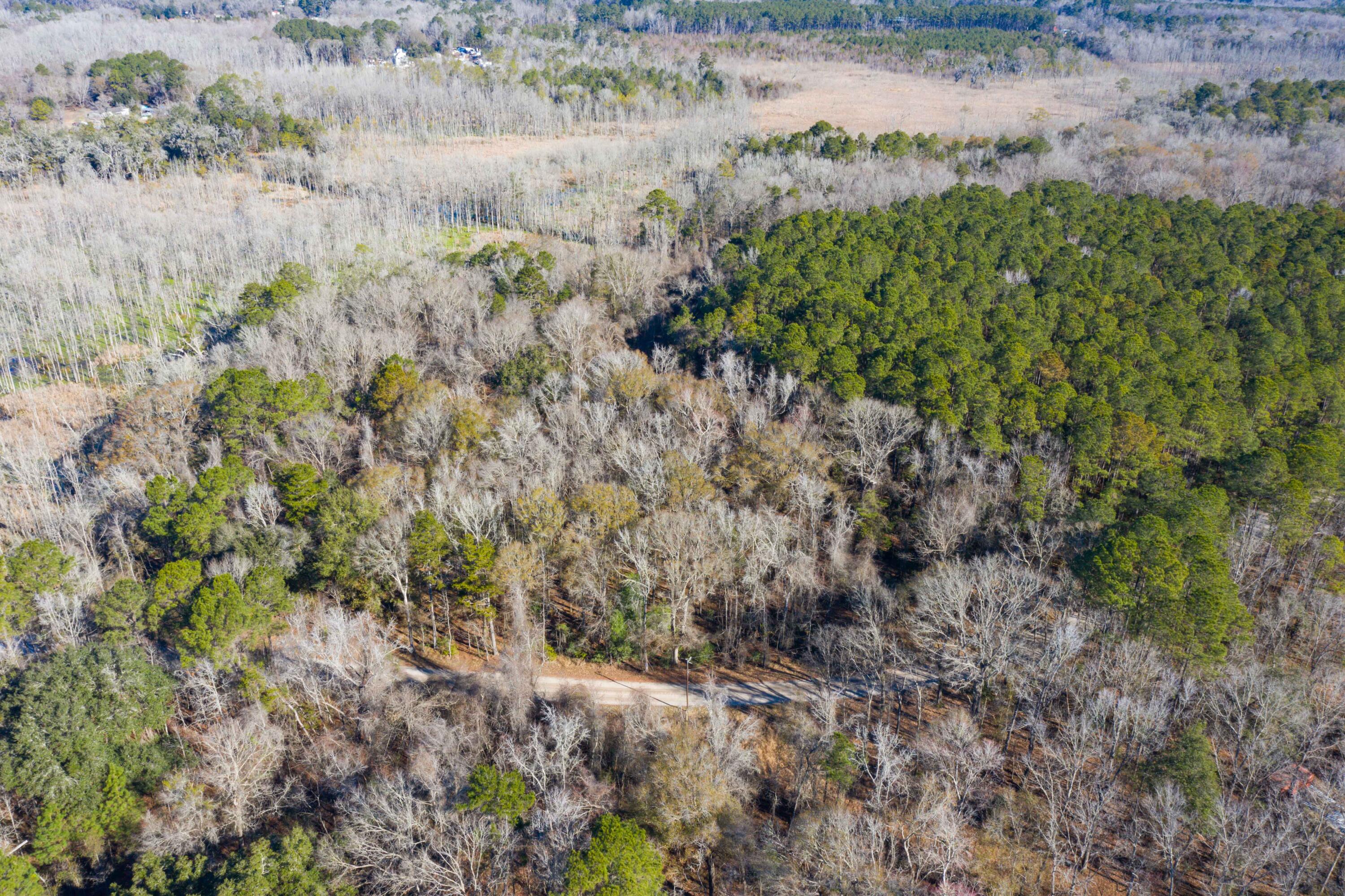 0 Bama Road Cottageville, SC 29435 - Photo 29 of 38 DJI_0008