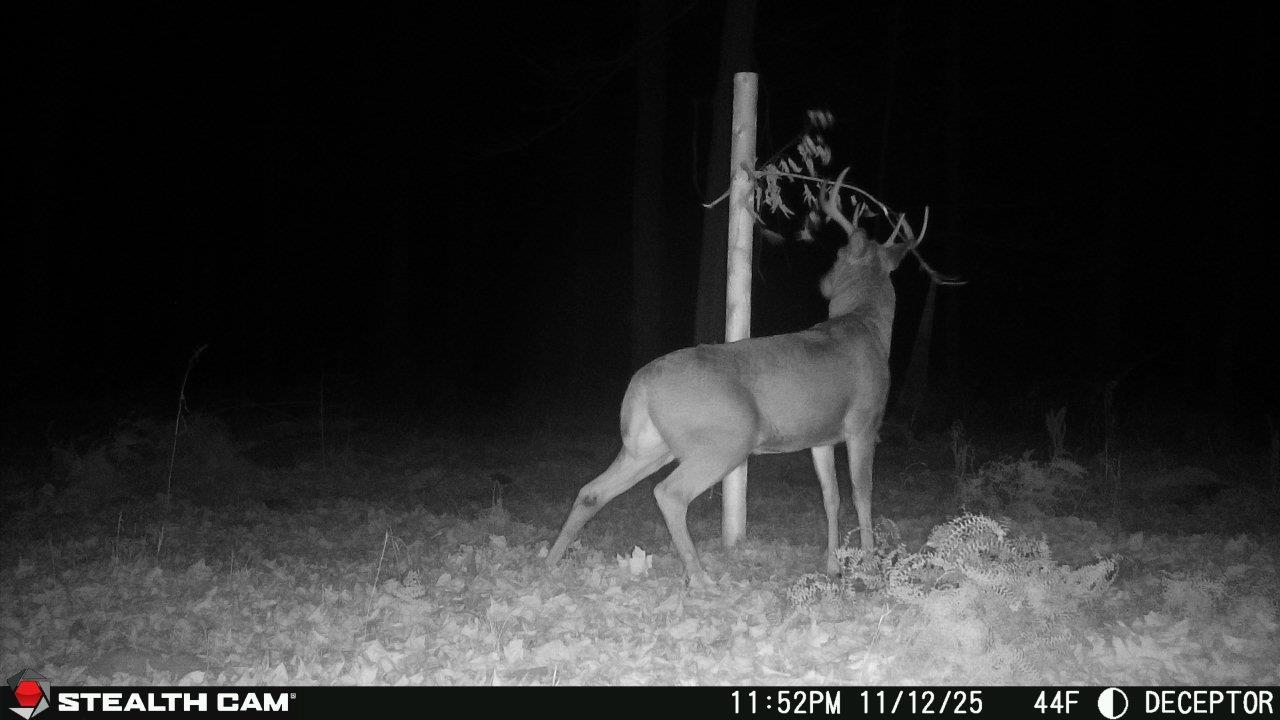 Springbrook Road Tigerton, WI 54486 - Photo 7 of 56