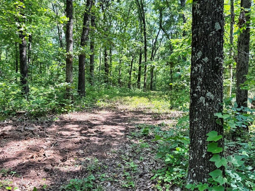 Tbd1 East 1550 Road Jerico Springs, MO 64756 - Photo 17 of 23