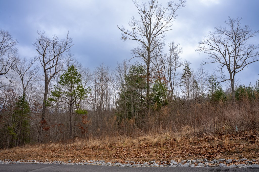 Lot 63 Lake Wood Road Murphy, NC 28906 - Photo 20 of 28