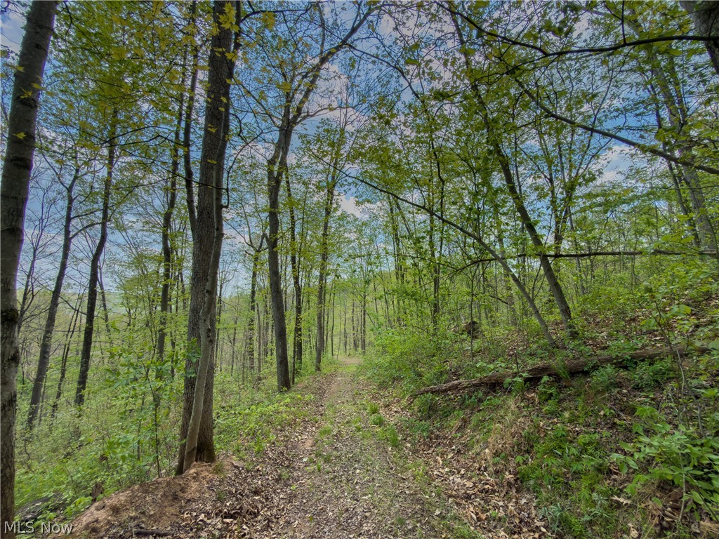 Beardmore Road Wingett Run, OH 45789 - Photo 23 of 43