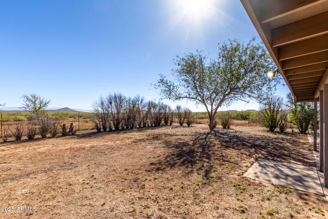 a view of dirt yard with a large tree