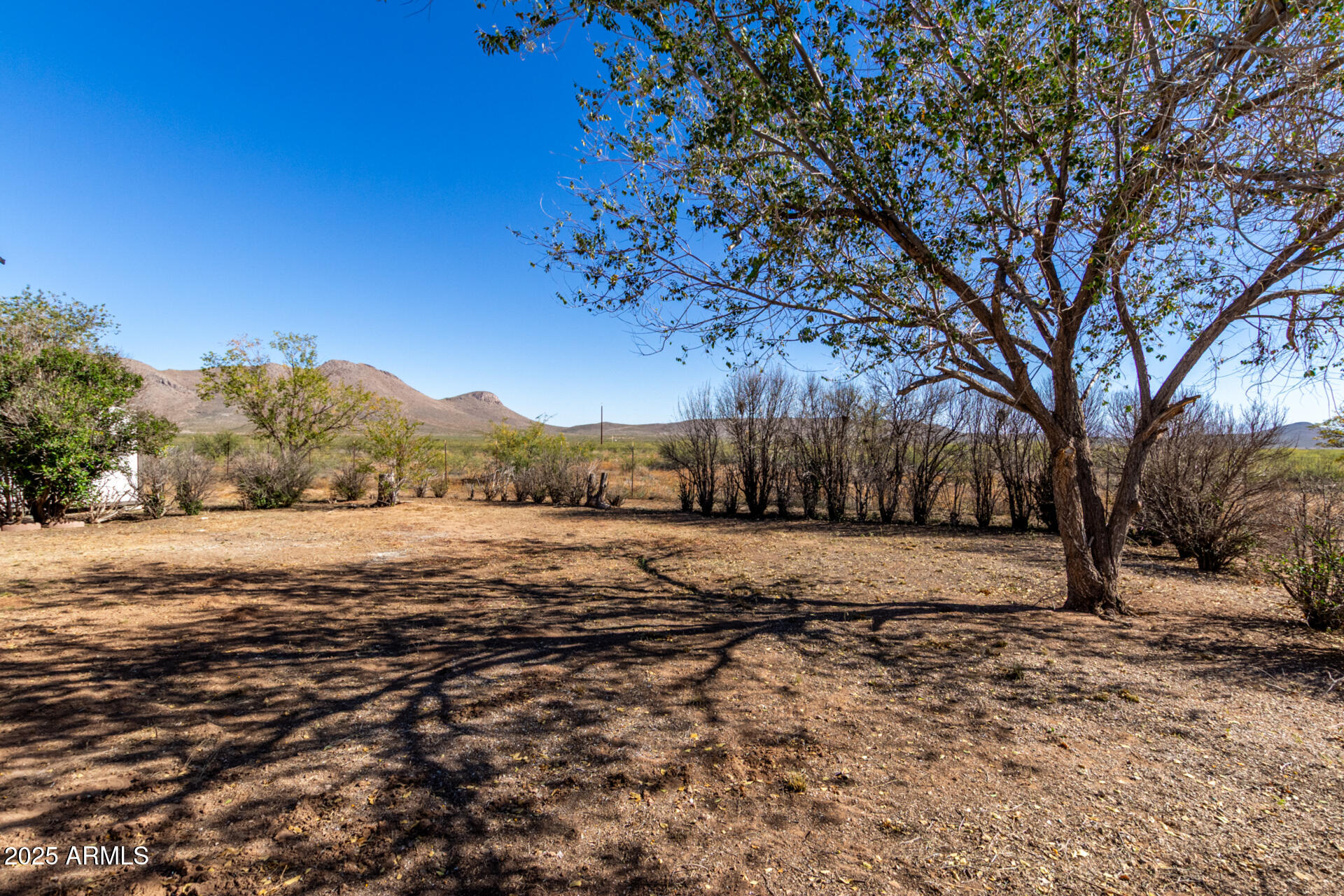 3613 East White Tail Road Pearce, AZ 85625 - Photo 33 of 39 a big yard with lots of green space