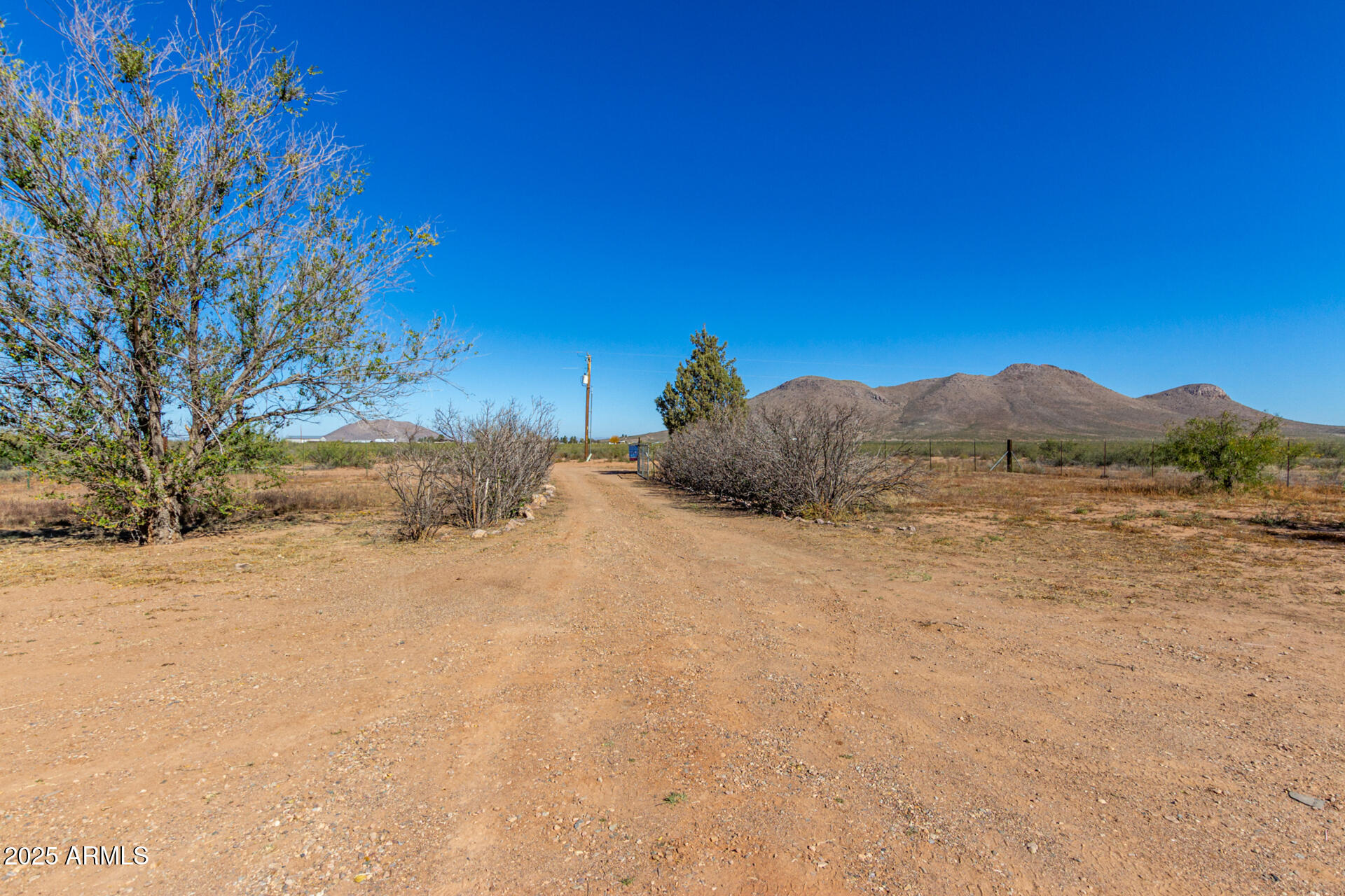 3613 East White Tail Road Pearce, AZ 85625 - Photo 35 of 39 a view of mountain and tree in the background