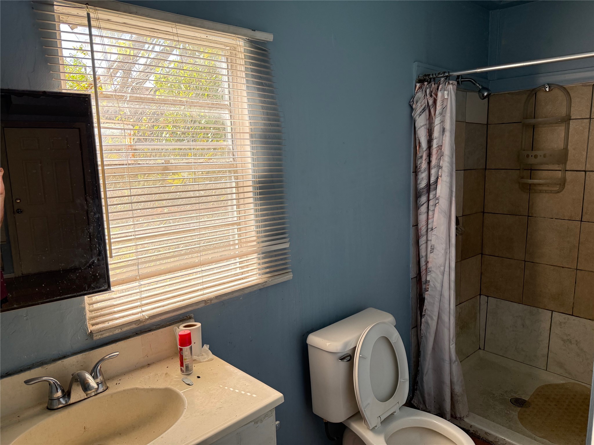 7952 Cinderella Street Houston, TX 77028 - Photo 14 of 18 a bathroom with a sink toilet and shower