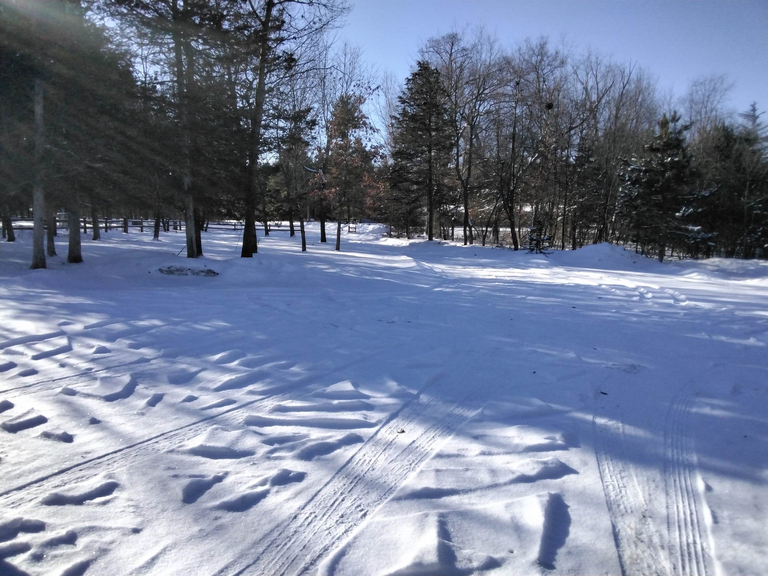 W1594 Golfview Drive Montello, WI 53949 - Photo 19 of 20