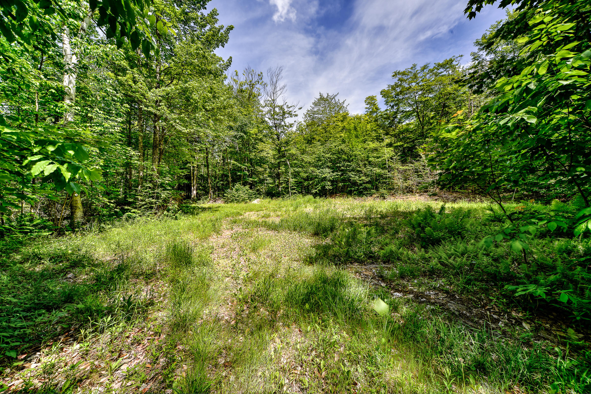 667 Belfast (rte 137) Road Freedom, ME 04941 - Photo 10 of 15 107718-9