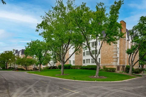 a view of a park with large trees