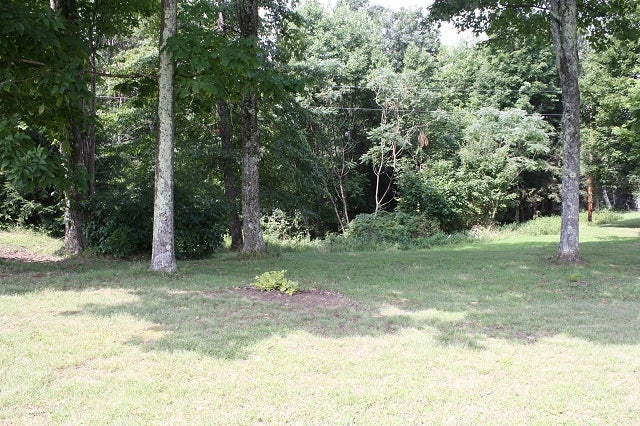 8906 Ridgelawn Road Nettie, WV 26681 - Photo 1 of 14 Entrance from Riverlawn beside cemetary