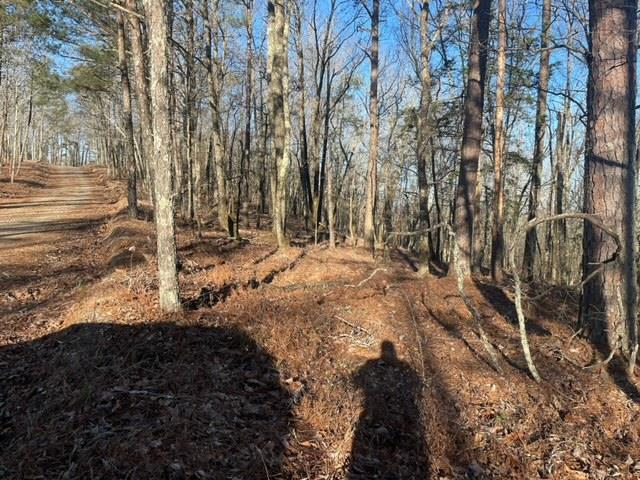 4 Mountain Ridge Drive Waverly Hall, GA 31831 - Photo 11 of 13 a view of dirt yard with a tree