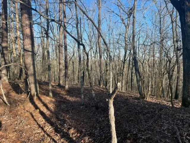a view of a backyard of the house