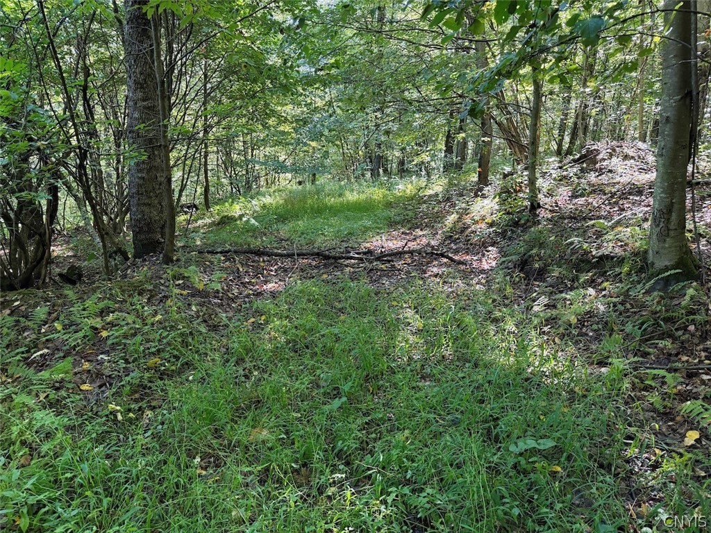 9543 Sawmill Run Road Napoli, NY 14755 - Photo 43 of 50 Gallery Image 43