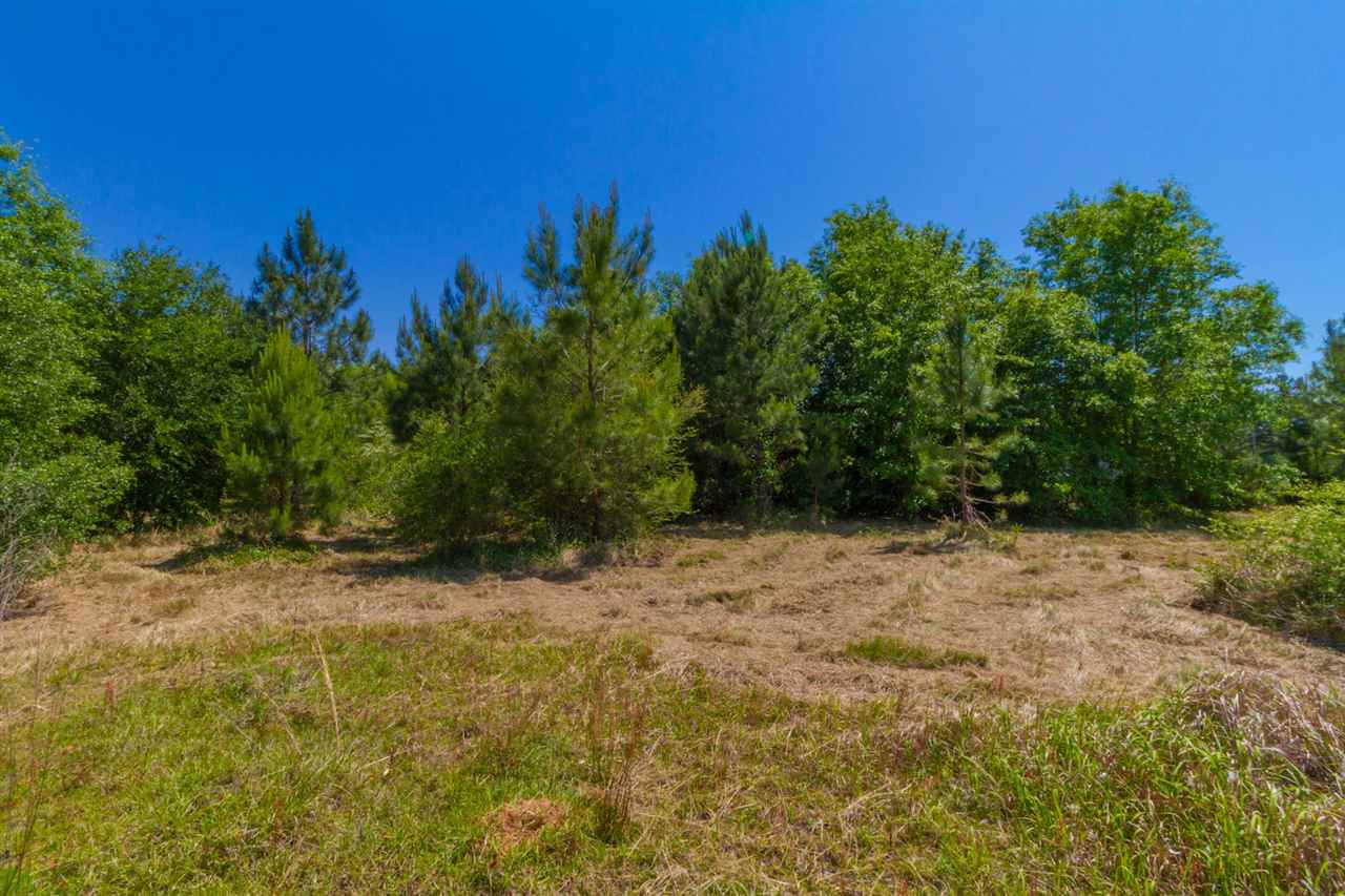 15748 Carver Road Foley, AL 36535 - Photo 6 of 6