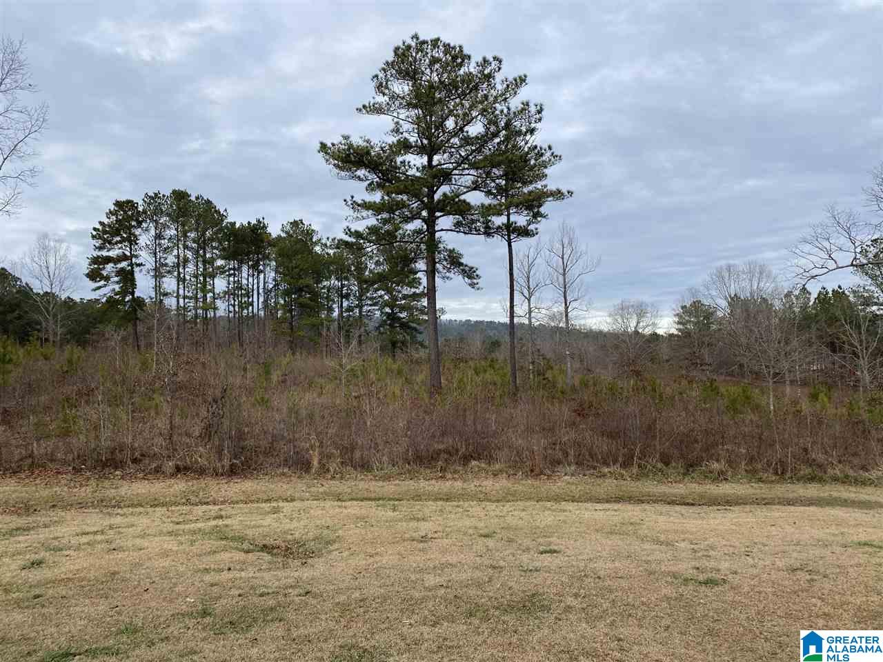 6042 Bull Gap Road Goodwater, AL 35072 - Photo 4 of 28