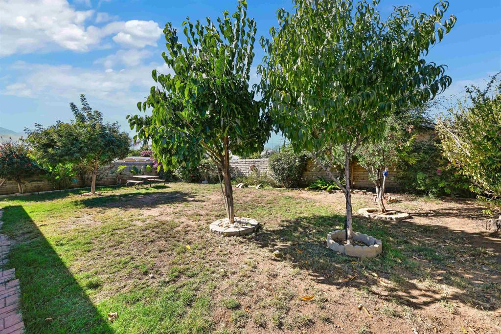1480 Taylor Avenue Escondido, CA 92027 - Photo 20 of 23 a view of a tree in the park