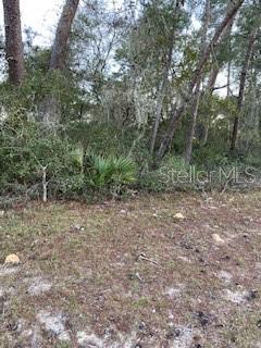 0 Southwest 133rd Ave Road, Unit 8 Ocala, FL 34481 - Photo 1 of 1 SW 133 Ave Rd Ocala Fl Rainbow Park