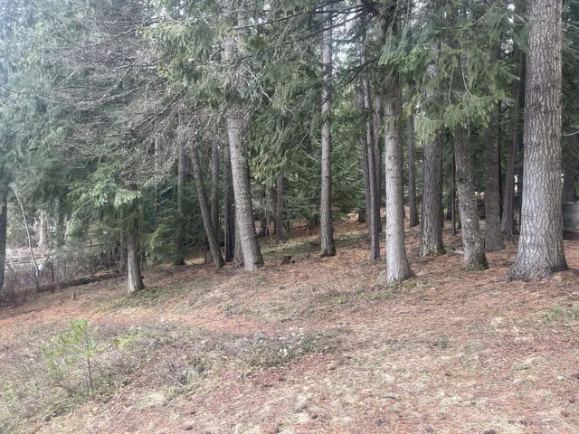 $430,000 | 481 Davis Lake Road, Usk, WA 99180