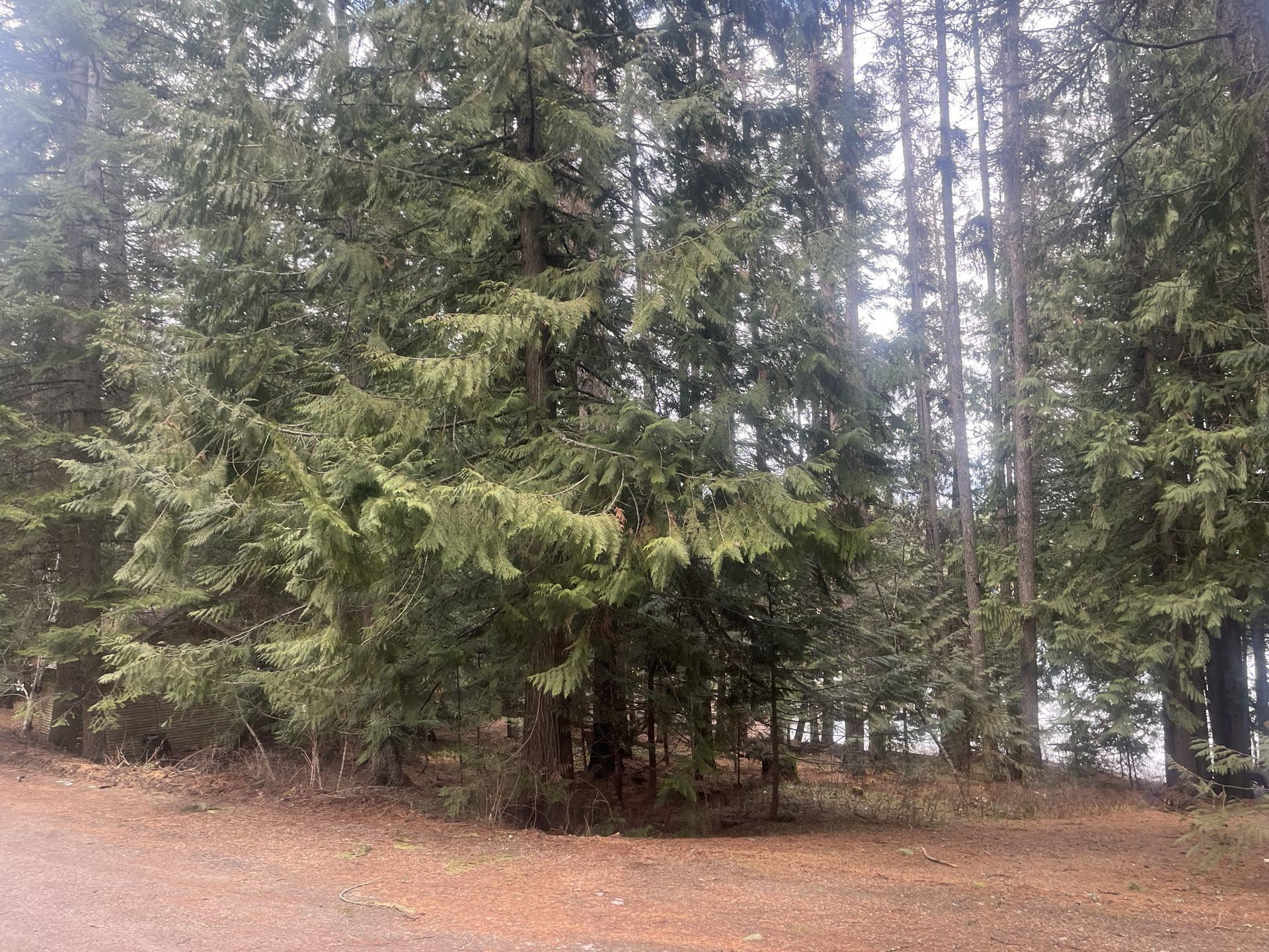 481 Davis Lake Road Usk, WA 99180 - Photo 24 of 26