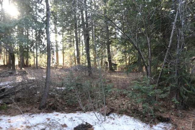 $430,000 | 481 Davis Lake Road, Usk, WA 99180