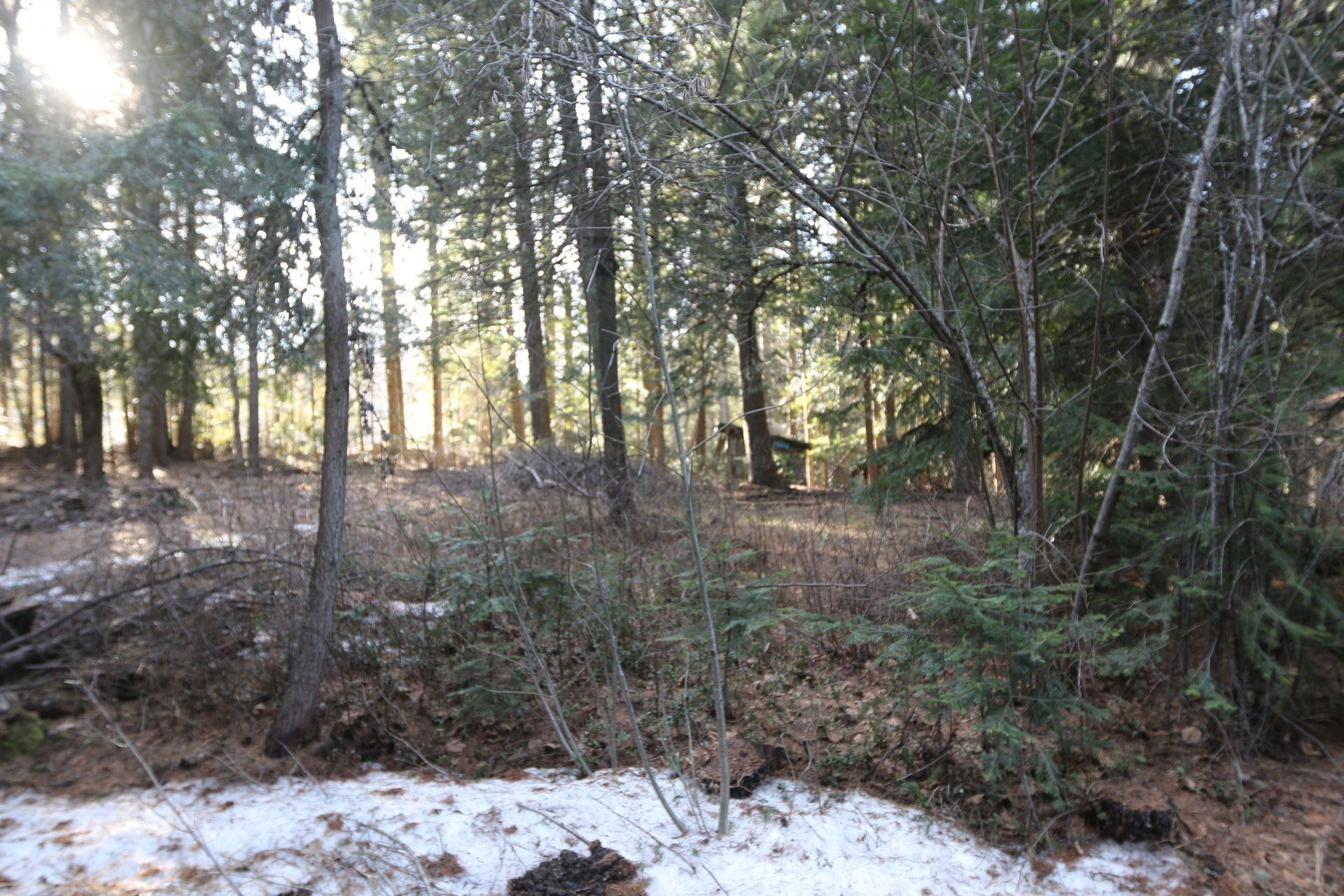 481 Davis Lake Road Usk, WA 99180 - Photo 26 of 26