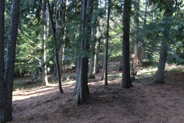 $430,000 | 481 Davis Lake Road, Usk, WA 99180