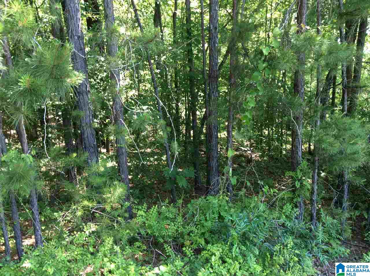 112 Greensport Road, Unit 112AC Ashville, AL 35953 - Photo 4 of 12