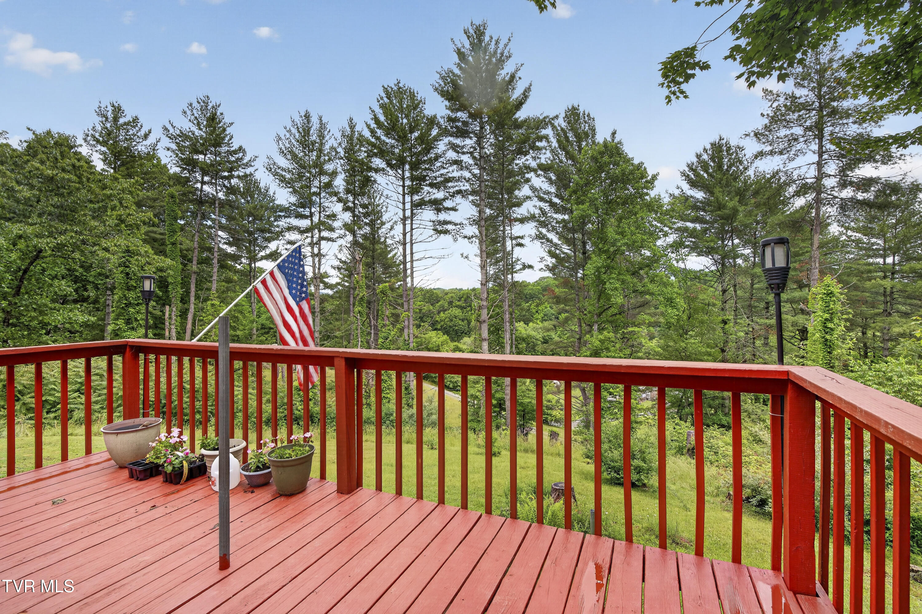 25534 Whitaker Hollow Road Abingdon, VA 24211 - Photo 5 of 25 25534-Whitaker-Hollow-Abingdon-VA Matt-S