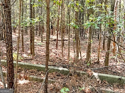a view of swimming pool
