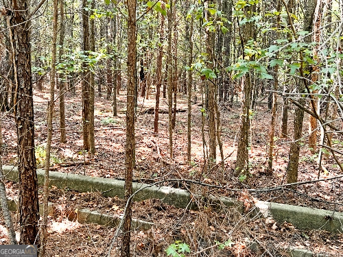 51-ac Rex Road Stockbridge, GA 30281 - Photo 11 of 20