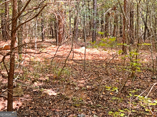 51-ac Rex Road Stockbridge, GA 30281 - Photo 13 of 20 a view of yard