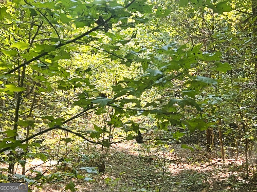 51-ac Rex Road Stockbridge, GA 30281 - Photo 15 of 20 a view of a tree