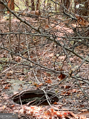 51-ac Rex Road Stockbridge, GA 30281 - Photo 17 of 20 a view of a yard