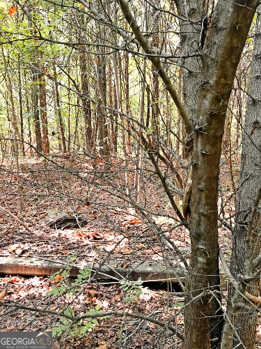 51-ac Rex Road Stockbridge, GA 30281 - Photo 18 of 20 a view of outdoor space with a tree