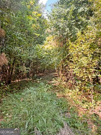 $717,000 | 51-ac Rex Road, Stockbridge, GA 30281