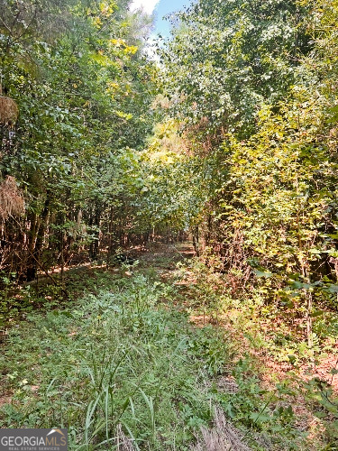 51-ac Rex Road Stockbridge, GA 30281 - Photo 19 of 20