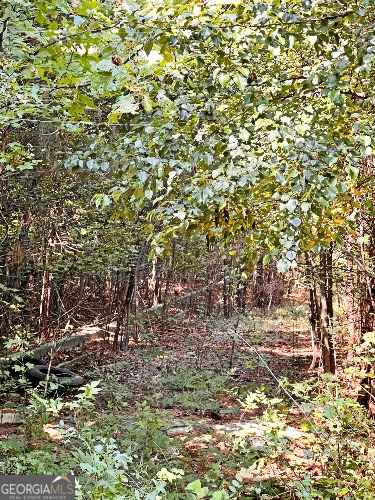 51-ac Rex Road Stockbridge, GA 30281 - Photo 20 of 20 a view of a tree