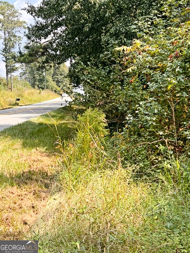 51-ac Rex Road Stockbridge, GA 30281 - Photo 5 of 20 a view of a yard with an outdoor space