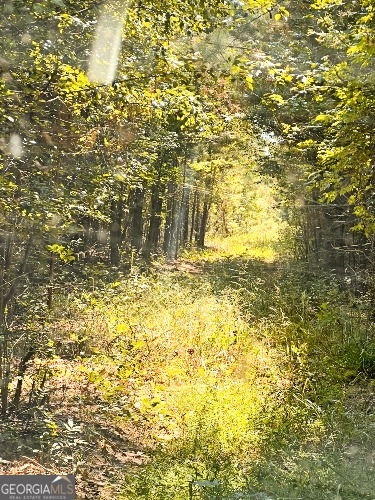 51-ac Rex Road Stockbridge, GA 30281 - Photo 7 of 20 a view of ocean view