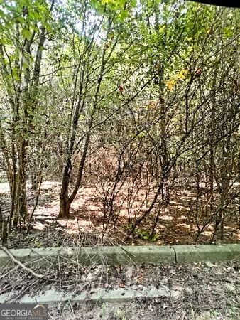 a backyard of a house with a trees