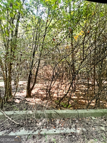 51-ac Rex Road Stockbridge, GA 30281 - Photo 8 of 20 a backyard of a house with a trees