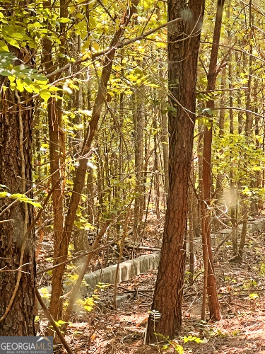 51-ac Rex Road Stockbridge, GA 30281 - Photo 9 of 20 a bathroom with a shower