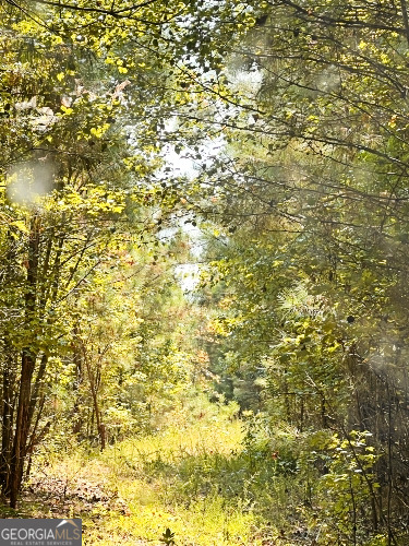 51-ac Rex Road Stockbridge, GA 30281 - Photo 10 of 20 a view of a yard
