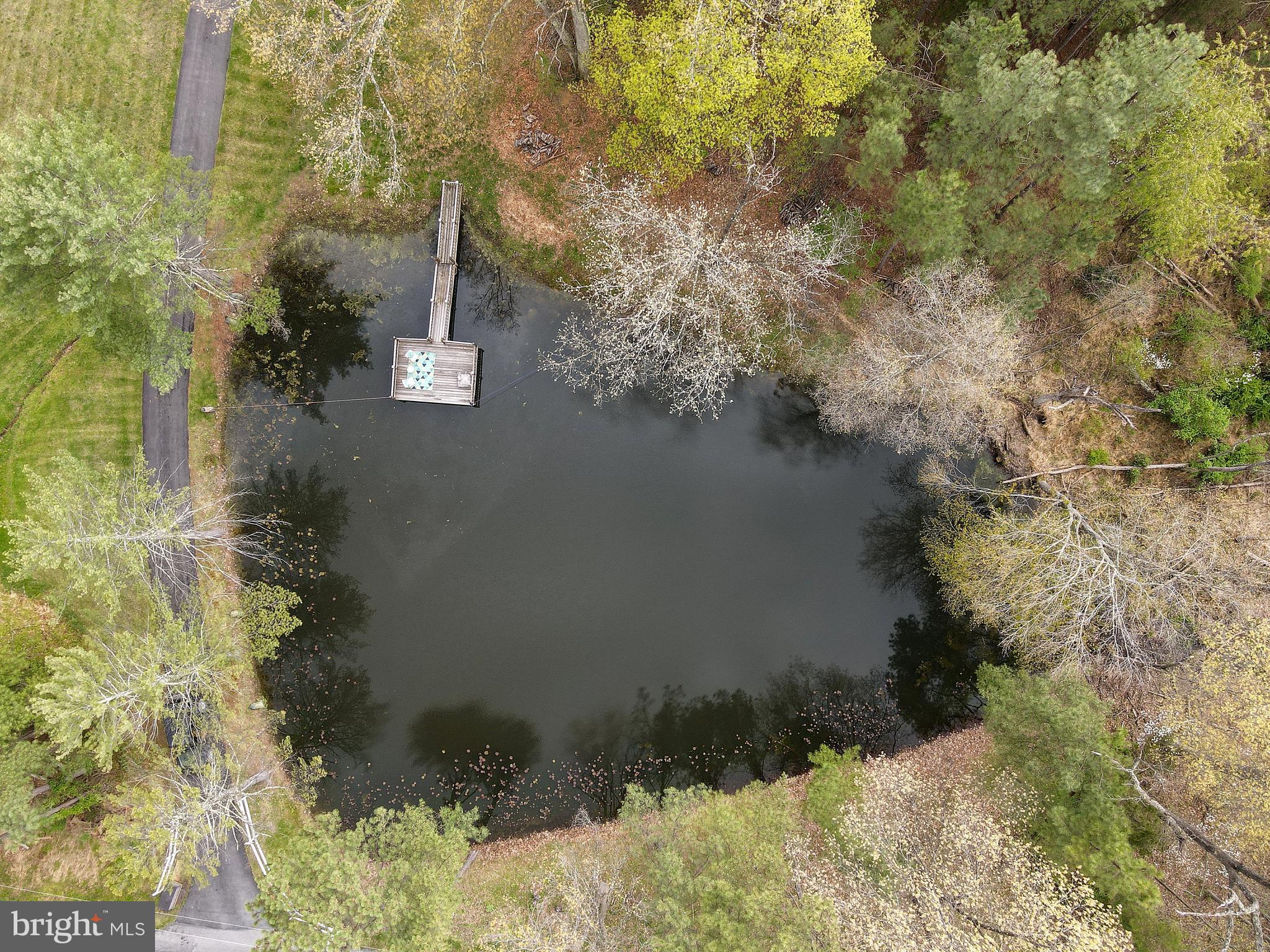 340 Highland Ridge Road Berkeley Springs, WV 25411 - Photo 40 of 44 Pond