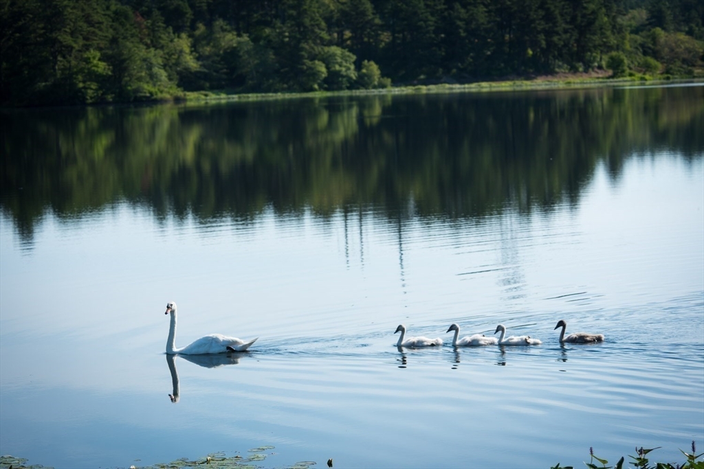12 Wisteria Road Plymouth, MA 02360 - Photo 22 of 22