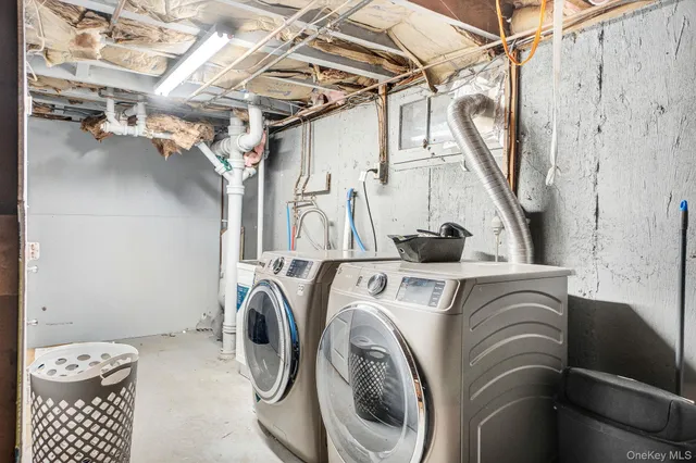 a view of a backyard with potted plants and large trees