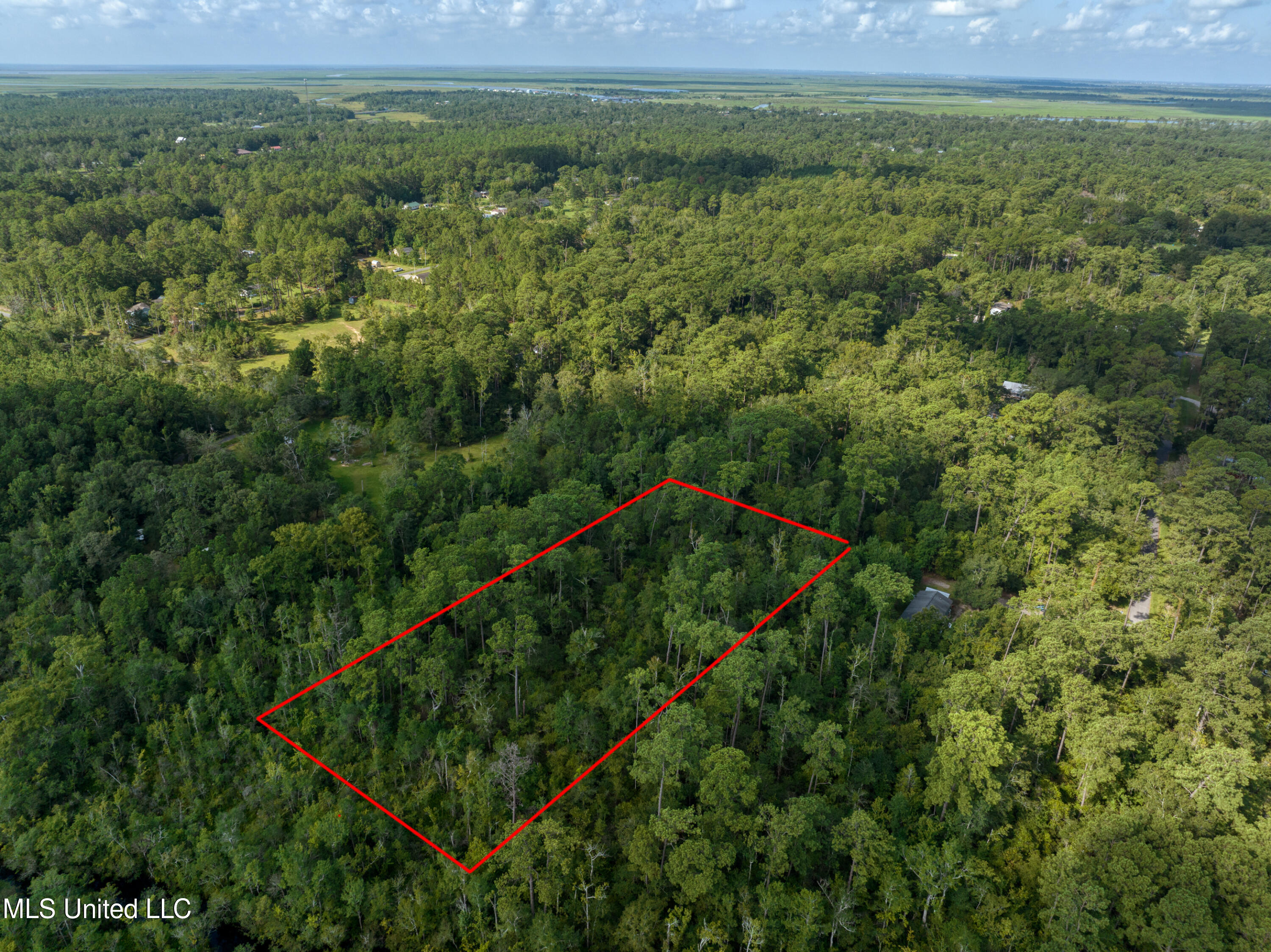 11th Avenue Pearlington, MS 39572 - Photo 16 of 18 pearlingtonlot-14