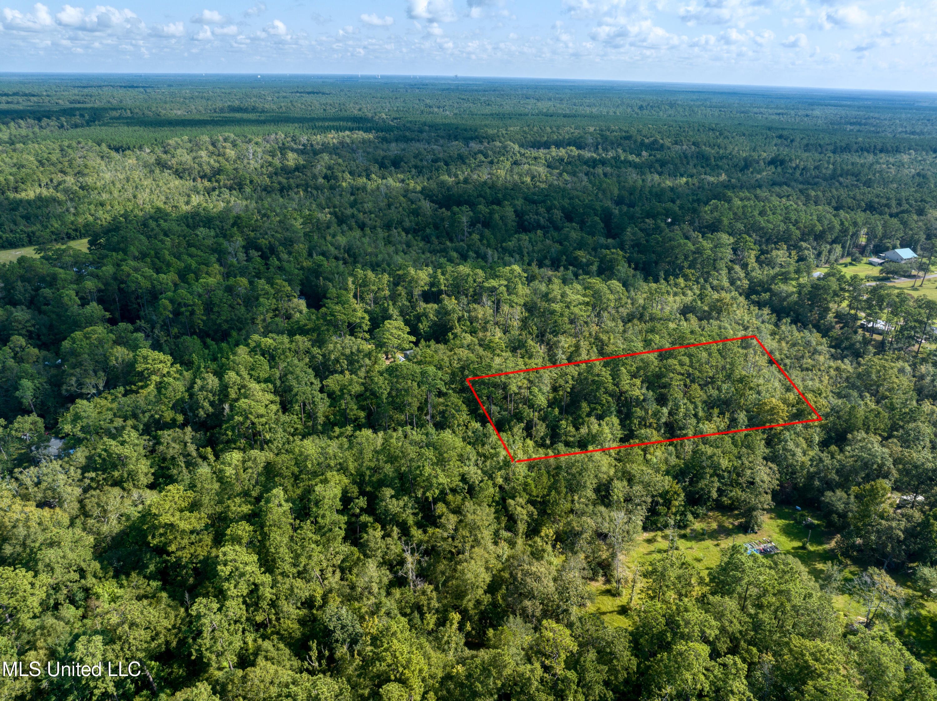 11th Avenue Pearlington, MS 39572 - Photo 9 of 18 pearlingtonlot-5