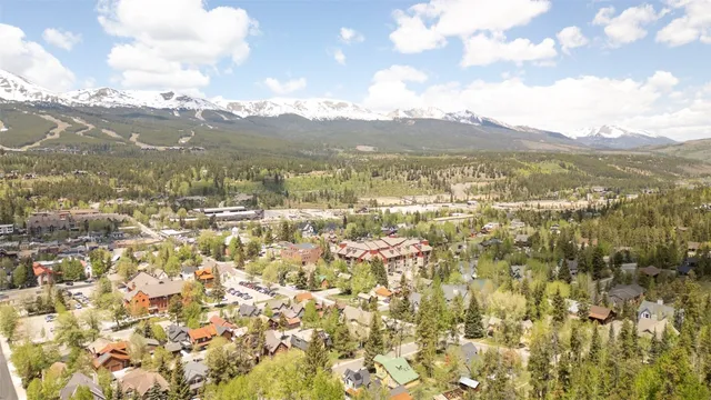 a view of a yard with plants and tree